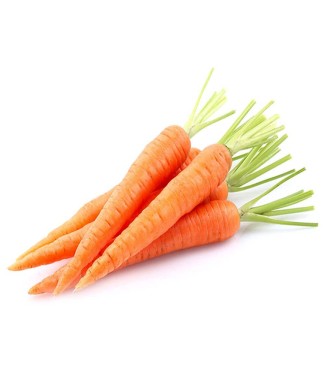 CELLO CARROT